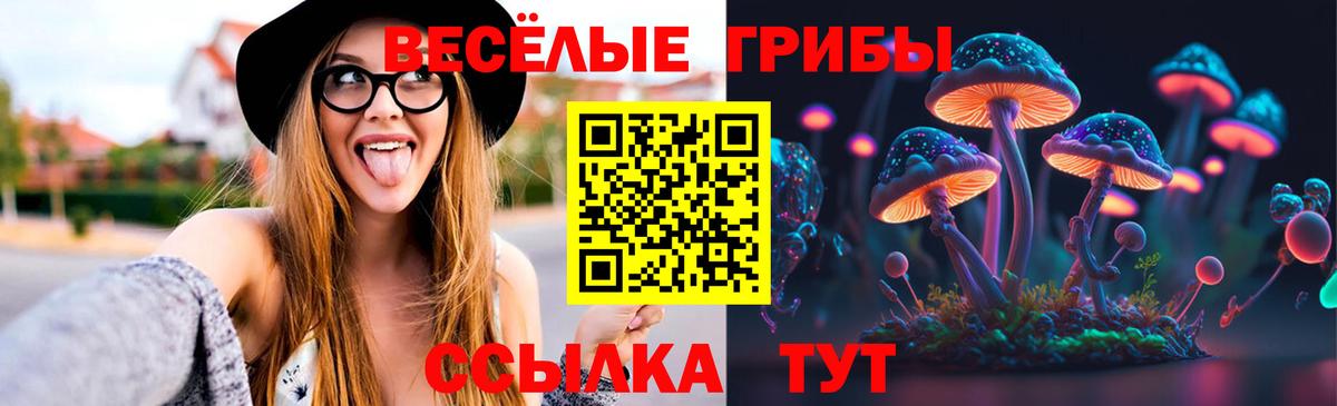 Псилоцибиновые грибы Psilocybe  Вход с VPN  Туапсе  Псилоцибиновые грибы Psilocybe 