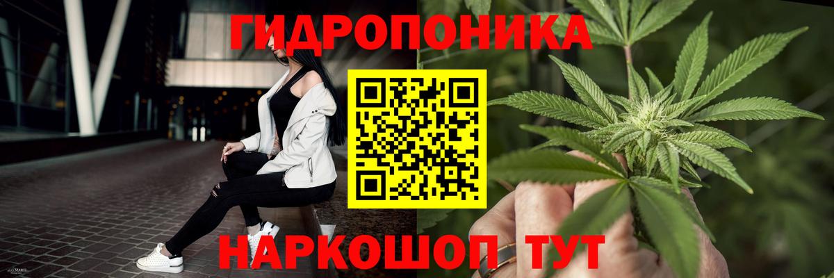 Шишки марихуана MAZAR Туапсе